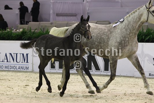 CA D ORO_MILANO_2010_SS3_3931.jpg